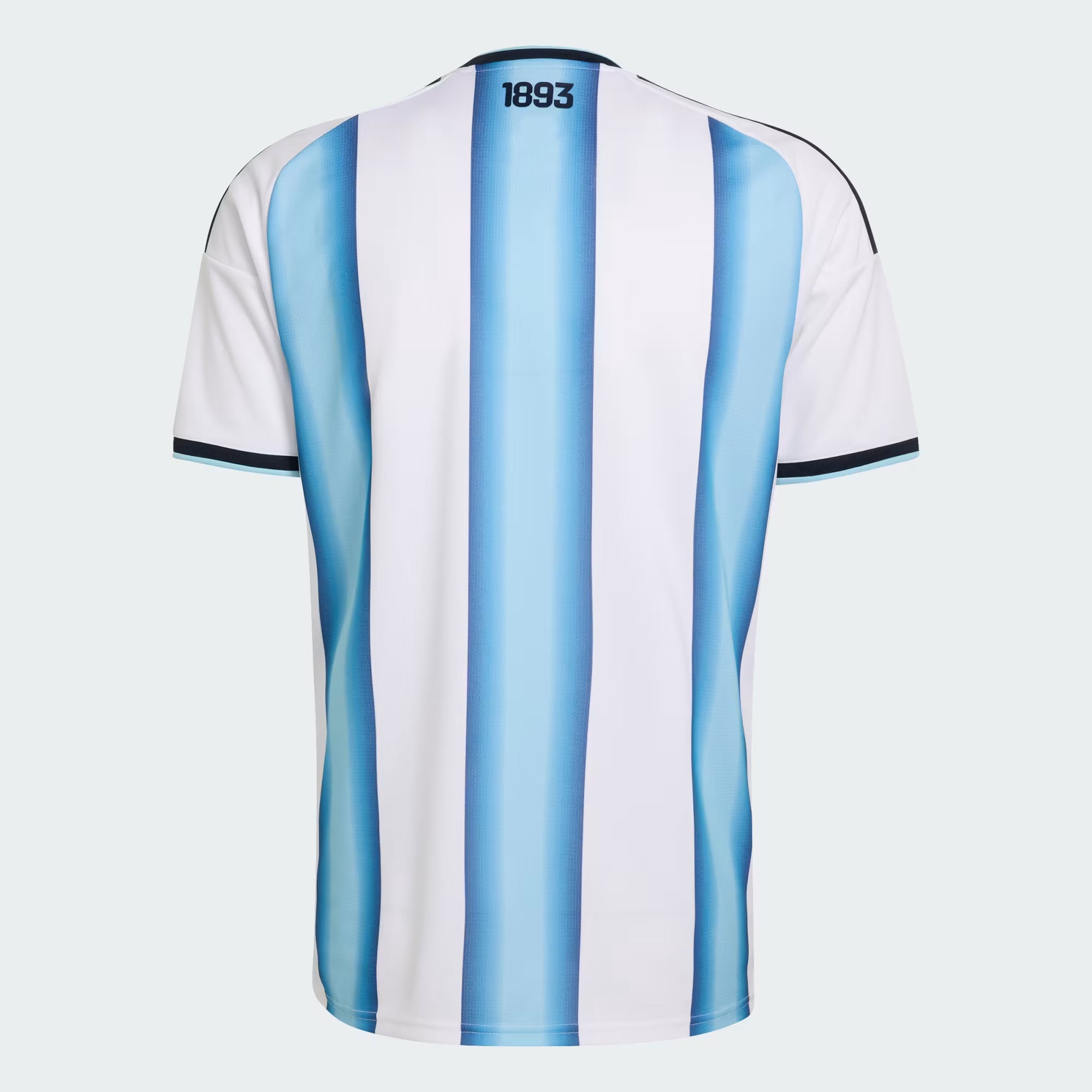 Argentina 26 Home Jersey - Fan version